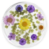 Resin Coaster Real Flower Prairie Harvest 10x10x0.6cm