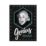 Nostalgic-Art Magnet Einstein Genius 6x8x0.2cm