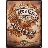 Nostalgic-Art Large Sign Harley Born To Ride Eagle 30x40x0.5cm