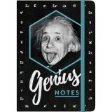 Nostalgic-Art Notebook Einstein - Genius Notes 21x15x2cm