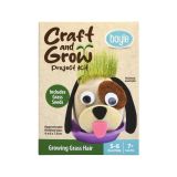 Craft and Grow Project Kit Growing Grass Hair with Seeds