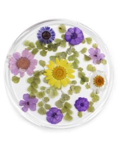 Resin Coaster Real Flower Prairie Harvest 10x10x0.6cm