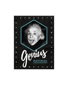 Nostalgic-Art Magnet Einstein Genius 6x8x0.2cm